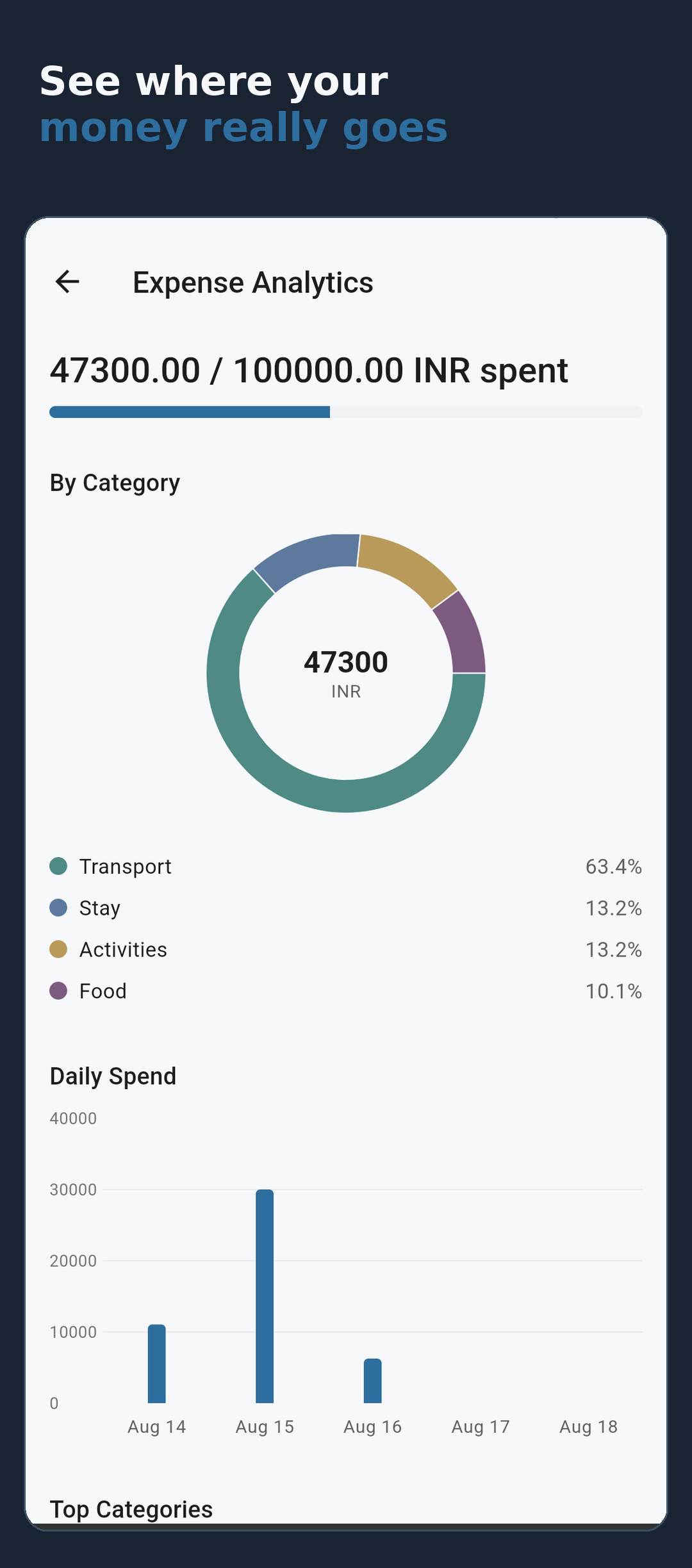 Expense analytics with category breakdown