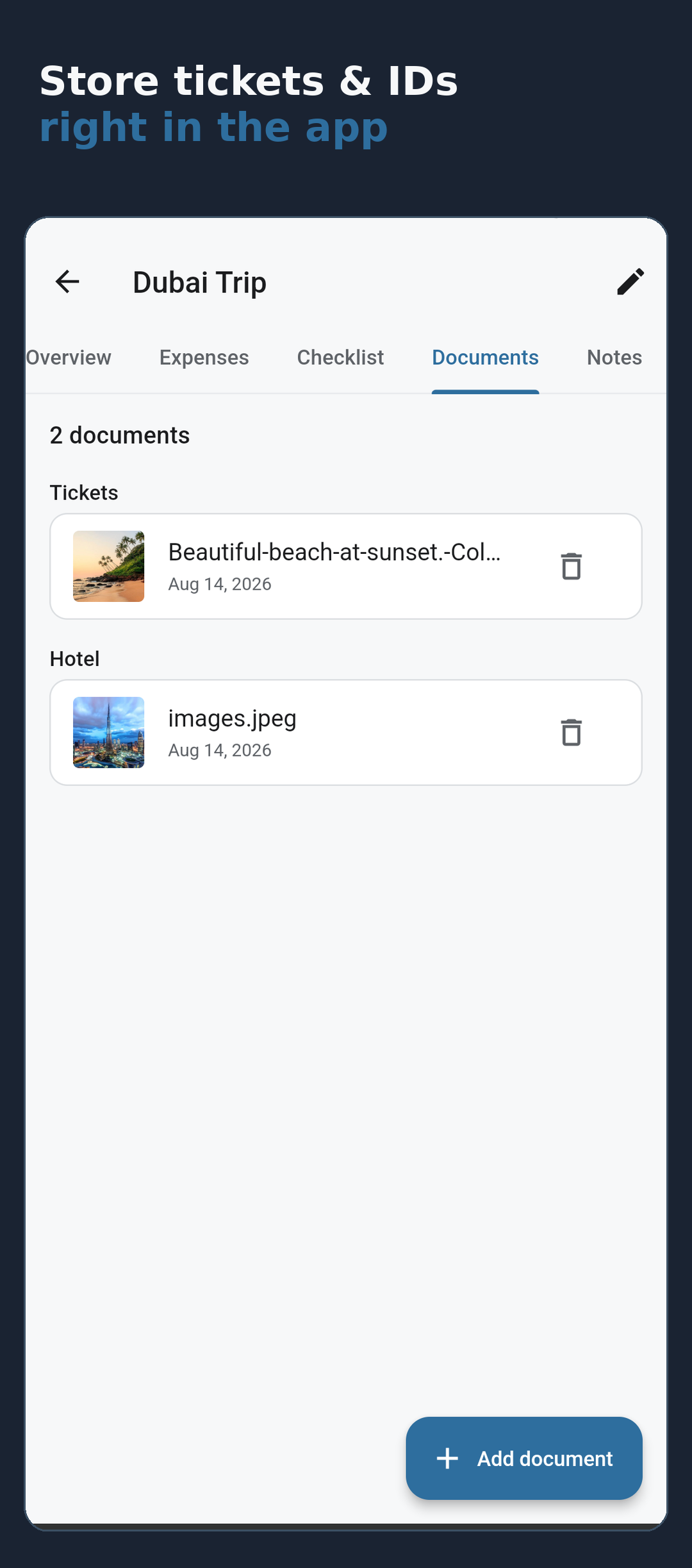 Trip documents, tickets and IDs
